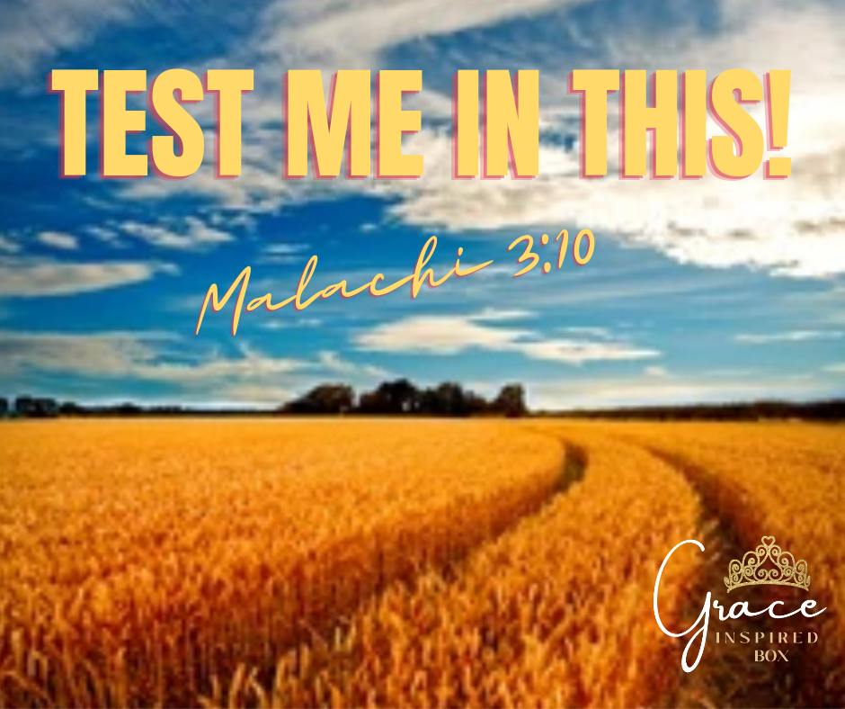 Test Him In This!